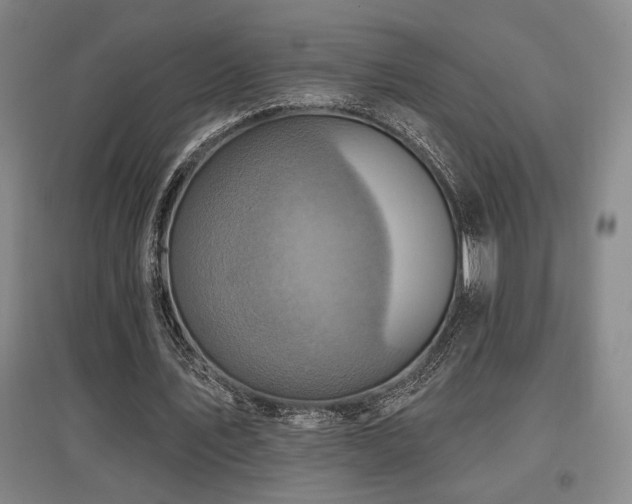 X0000097610579200802291304