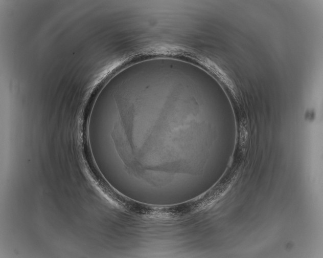 X0000097610581200802291304