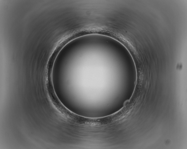 X0000097610582200802291304