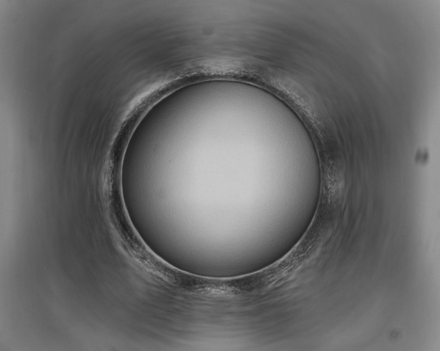 X0000097610583200802291304