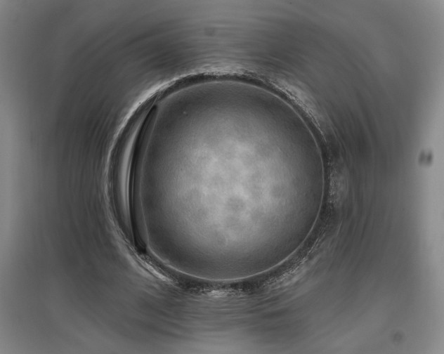 X0000097610584200802291304