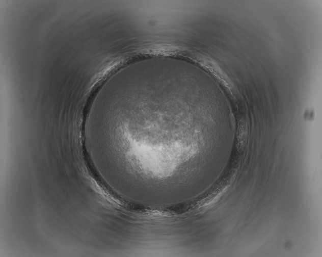 X0000097610585200802291304