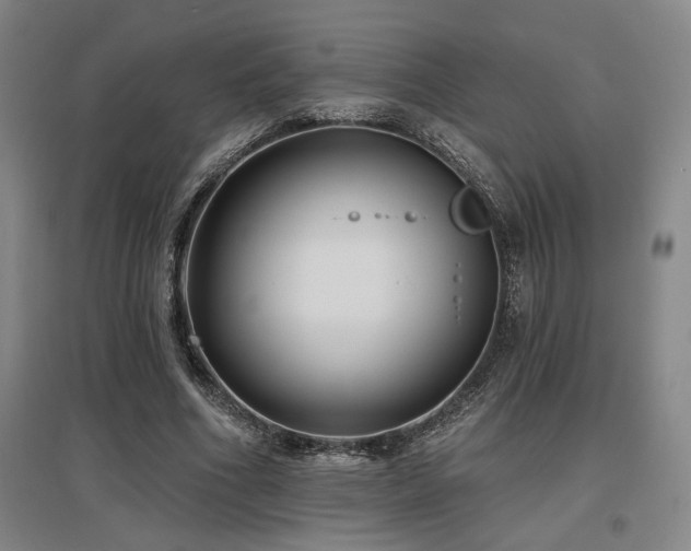 X0000097610586200802291304