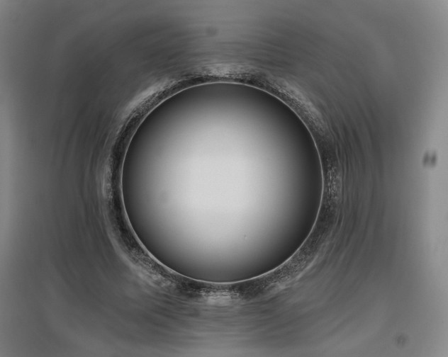 X0000097610587200802291304