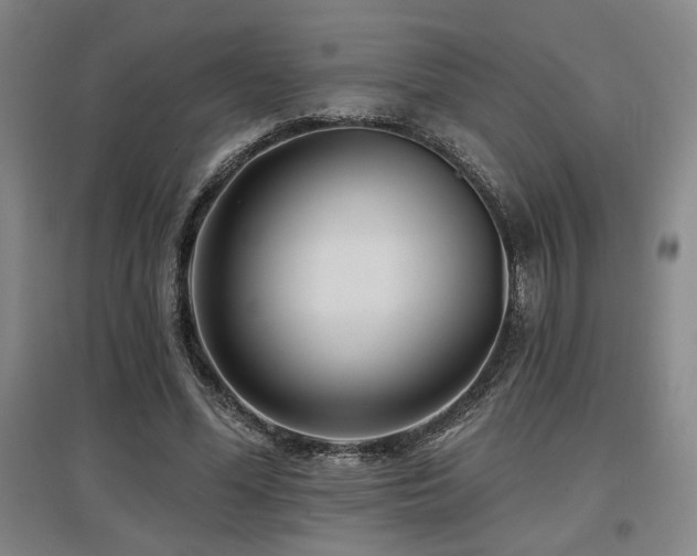 X0000097610588200802291304