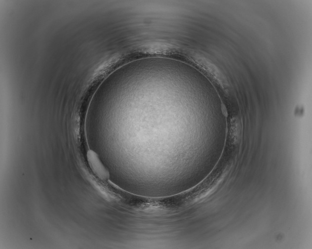 X0000097610589200802291304
