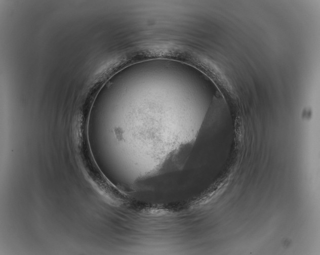 X0000097610590200802291304