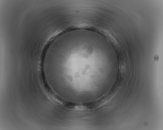X0000097610591200802291304