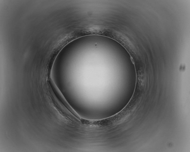 X0000097610593200802291304