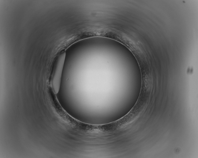 X0000097610594200802291304