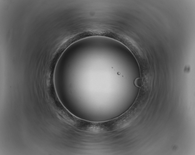 X0000097610596200802291304