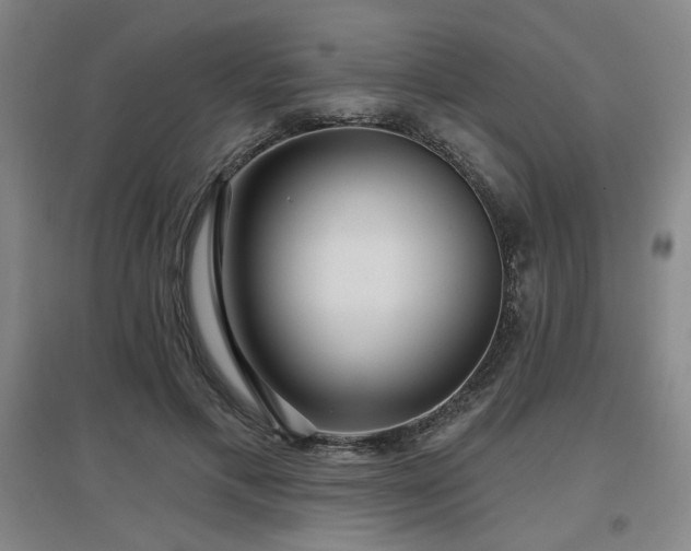 X0000097610597200802291304