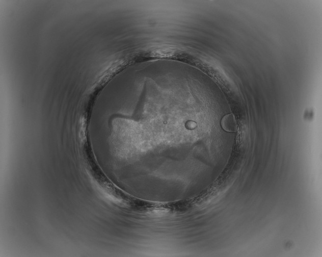 X0000097610598200802291304