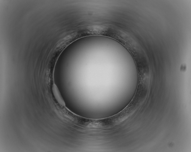 X0000097610599200802291304