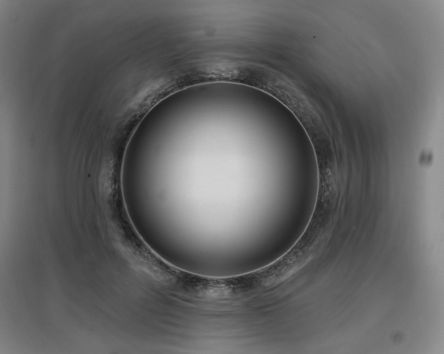 X0000097610600200802291304