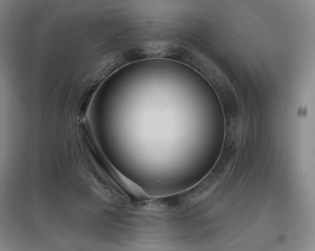 X0000097610601200802291304