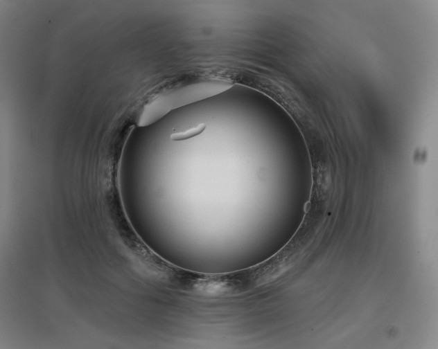 X0000097610602200802291304