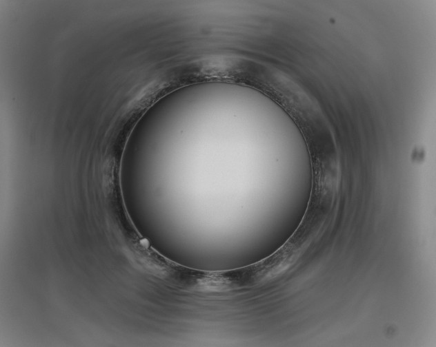 X0000097610603200802291304