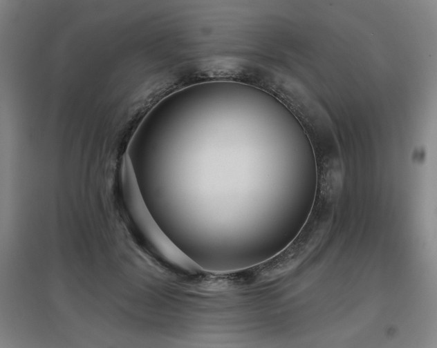 X0000097610604200802291304