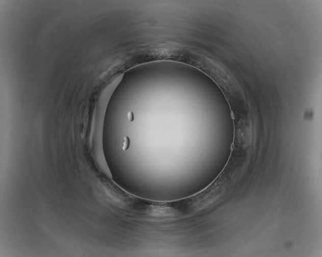 X0000097610605200802291303