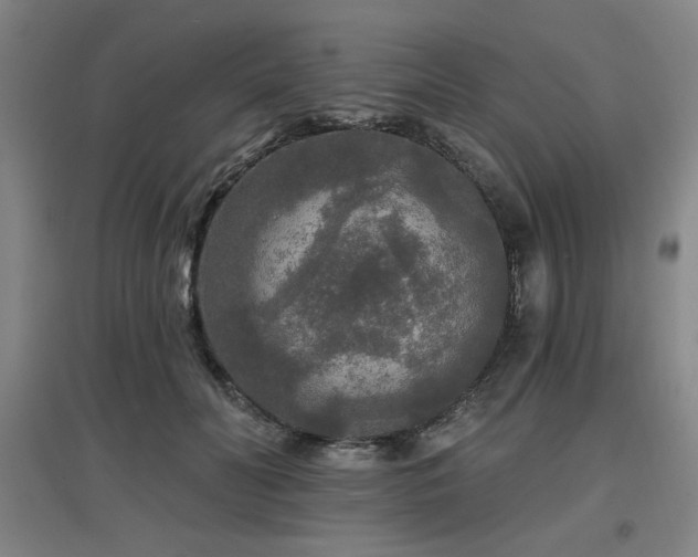 X0000097610606200802291303
