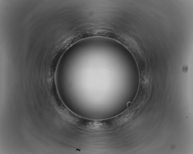 X0000097610607200802291303