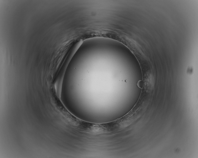X0000097610608200802291303