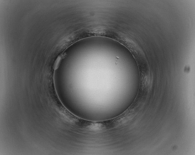 X0000097610609200802291303