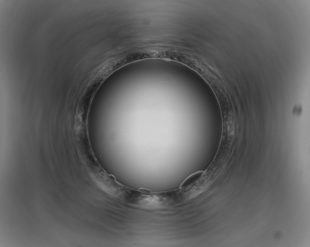 X0000097610611200802291303