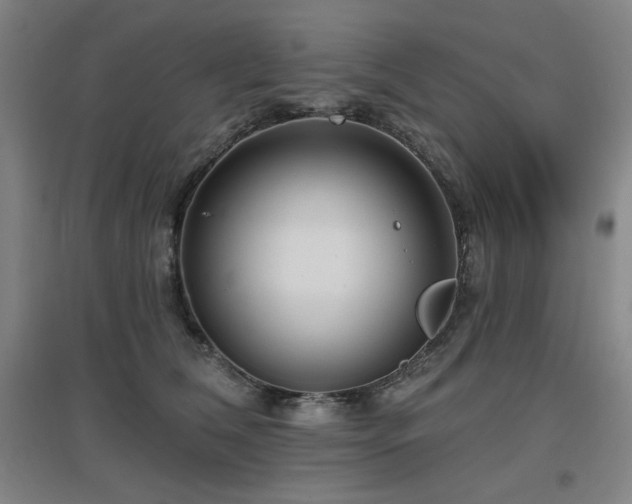 X0000097610612200802291303