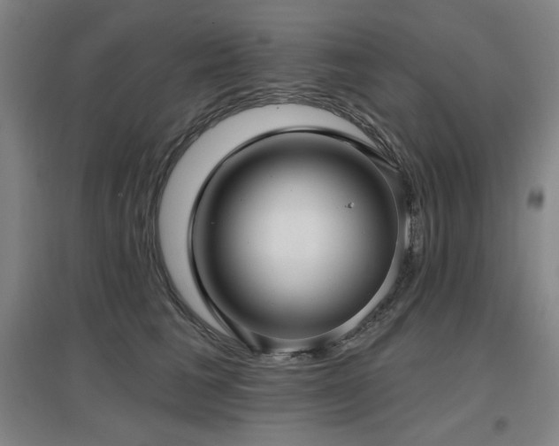 X0000097610613200802291303