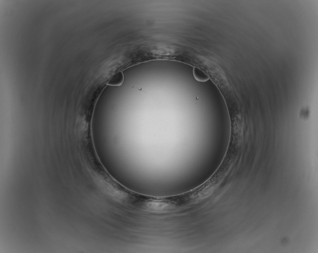 X0000097610614200802291303