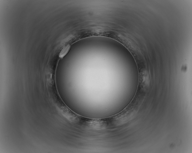 X0000097610615200802291303