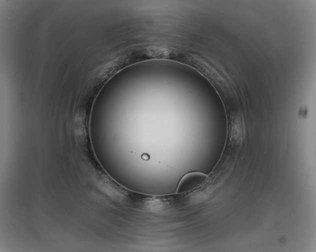 X0000097610616200802291303