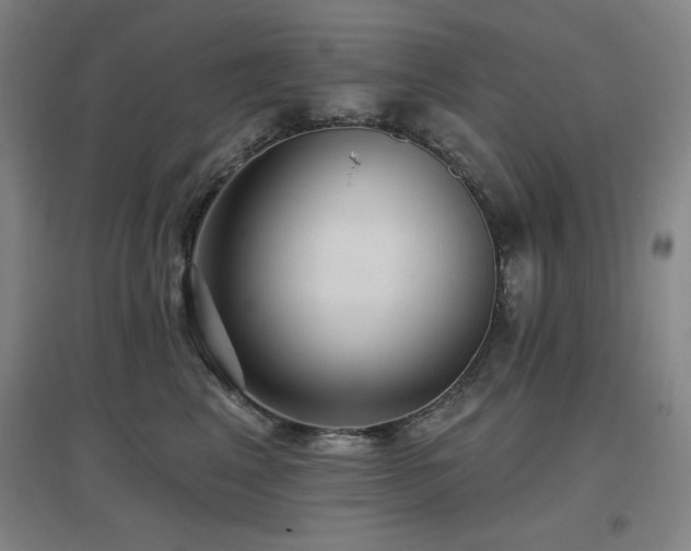 X0000097610617200802291303