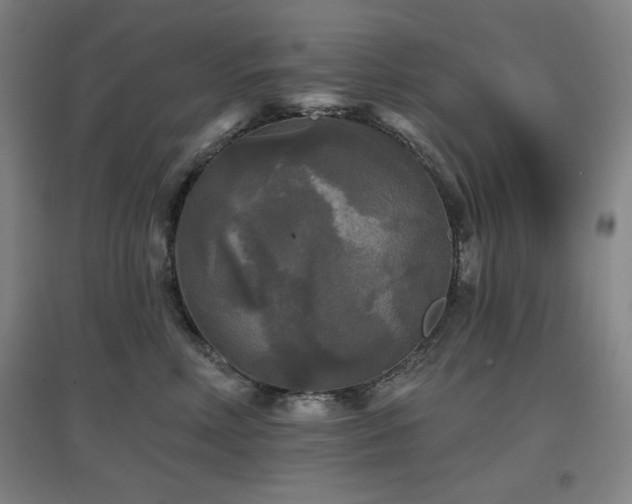 X0000097610618200802291303