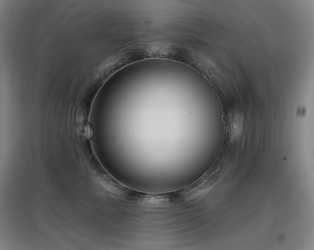 X0000097610619200802291303