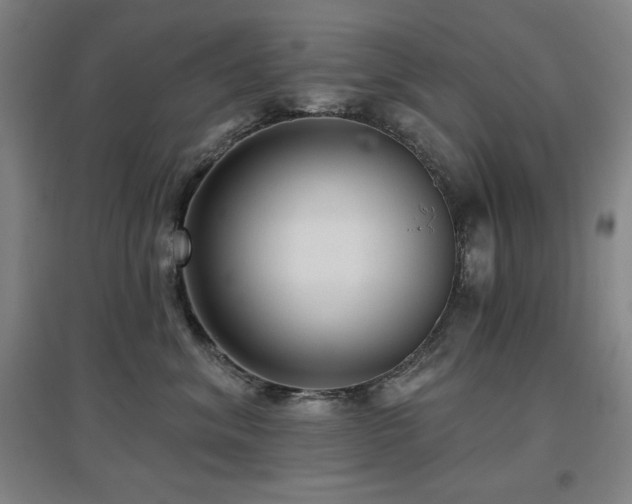 X0000097610620200802291303