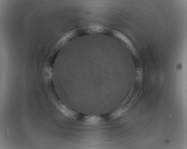 X0000097610621200802291303
