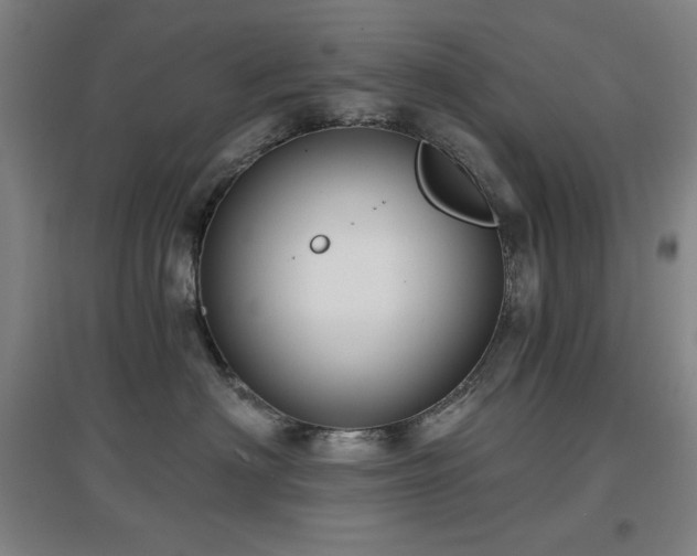 X0000097610622200802291303