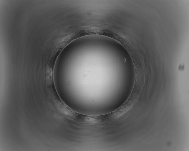 X0000097610624200802291303