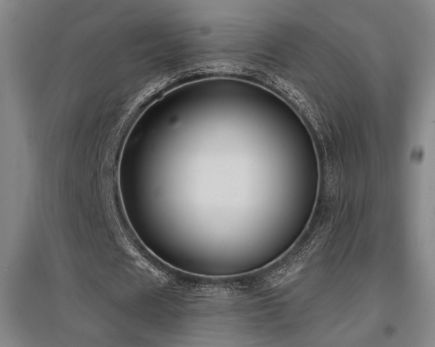 X0000097610625200802291303