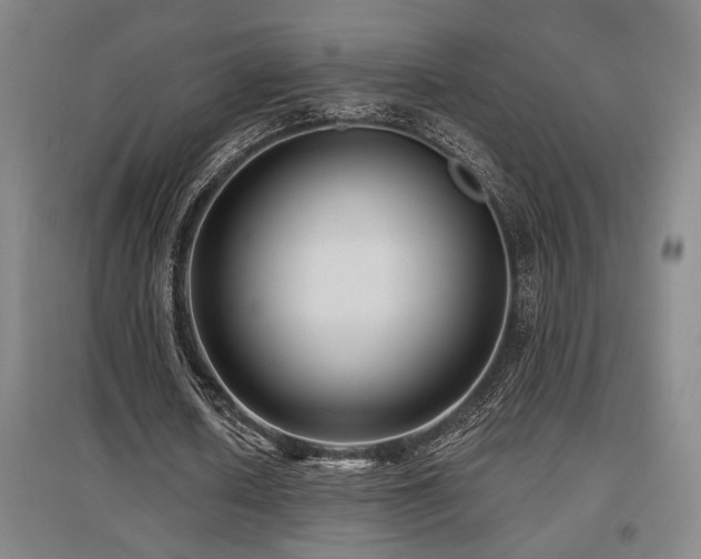 X0000097610626200802291303