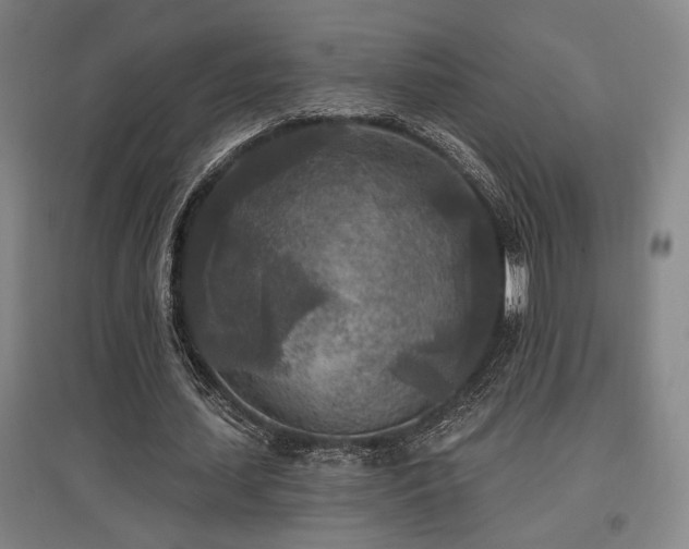 X0000097610627200802291303