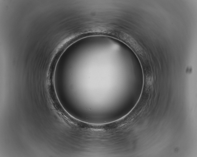 X0000097610628200802291303