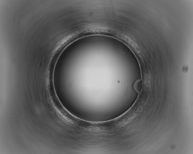 X0000097610629200802291303