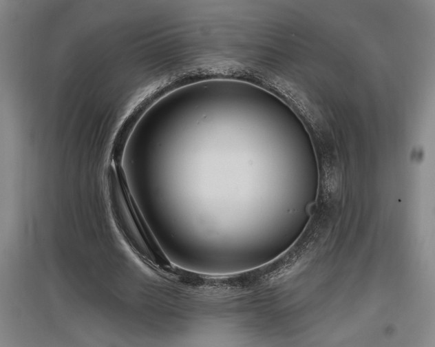 X0000097610630200802291303