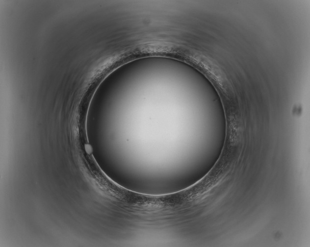 X0000097610631200802291303