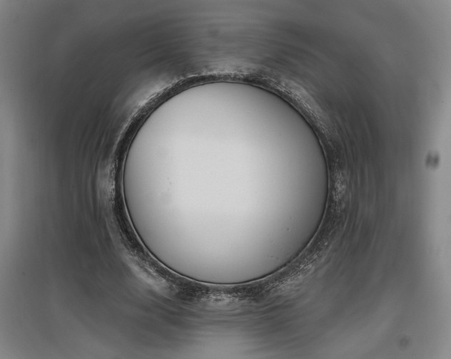 X0000097610632200802291303