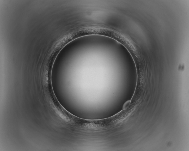 X0000097610633200802291303